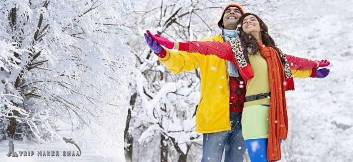 Shimla Kullu Manali Tour Package